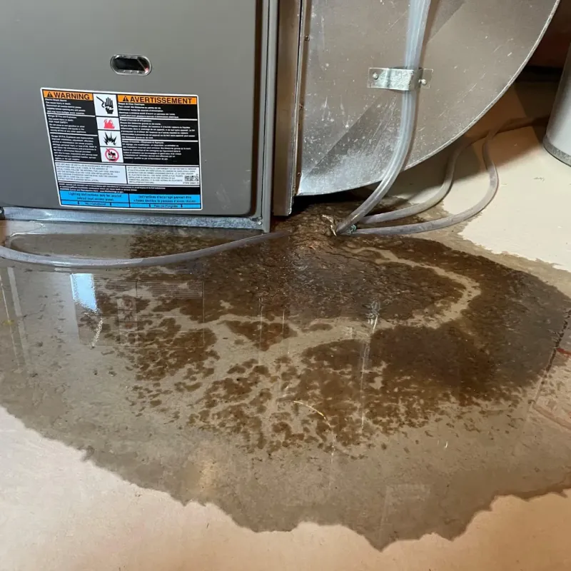 Appliance Leak Cleanup in Malden, MO