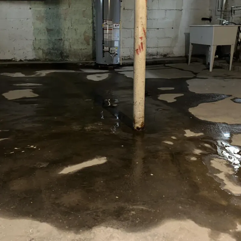 Emergency Water Extraction And Removal in Malden, MO